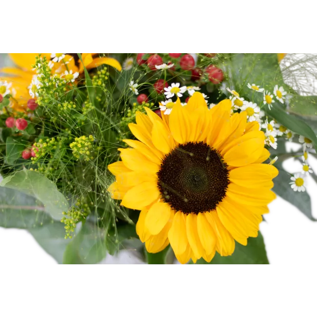 bouquet of sunflower